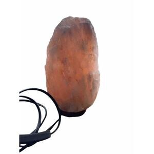 9 Inch Himalayan Salt Lamp with Dimmer Cord Night Light Natural Crystal Rock